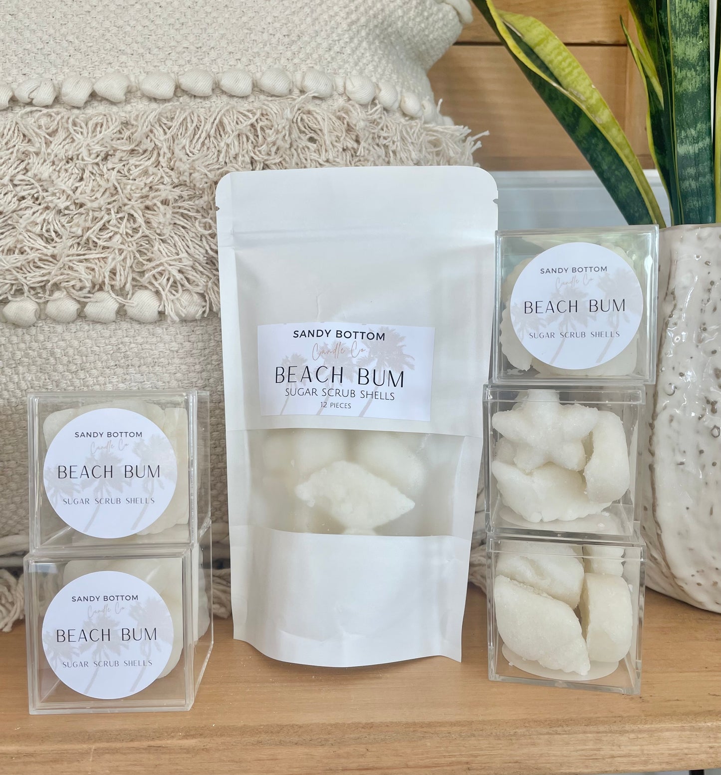 Sugar Shells-Seashells-Sugar Scrub