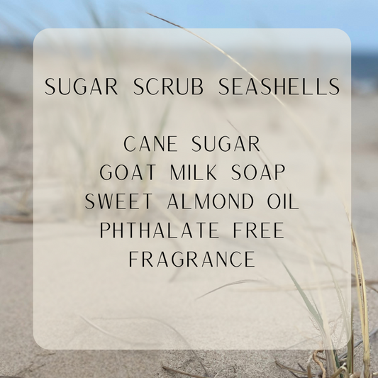 Sugar Shells-Seashells-Sugar Scrub