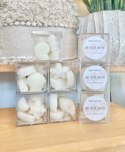 Sugar Shells-Seashells-Sugar Scrub