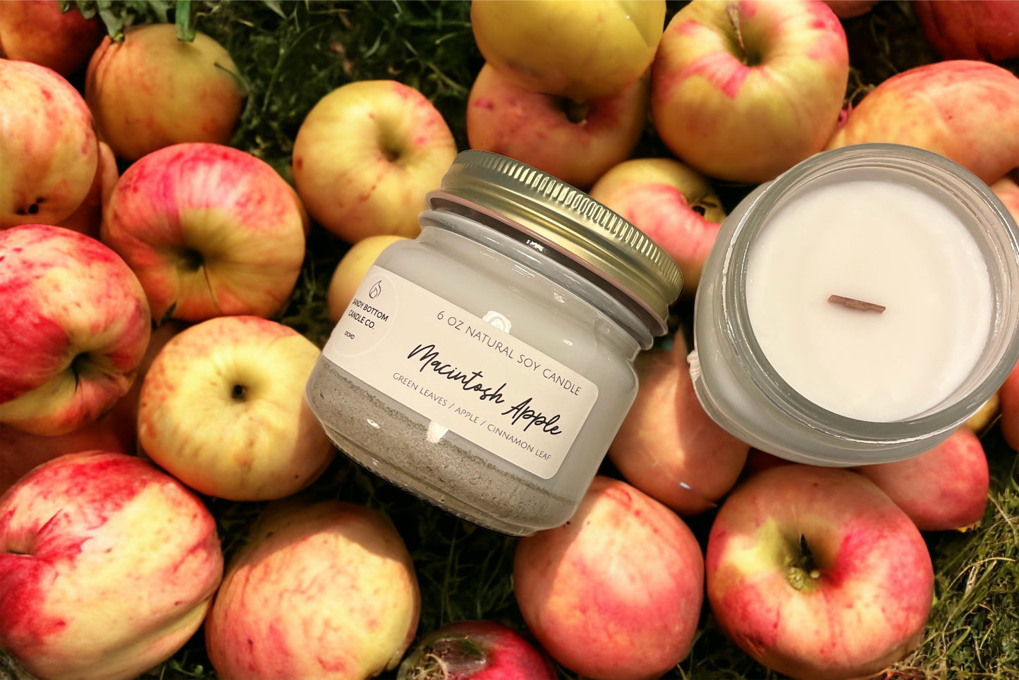 Macintosh Apple 6 oz Soy Candle